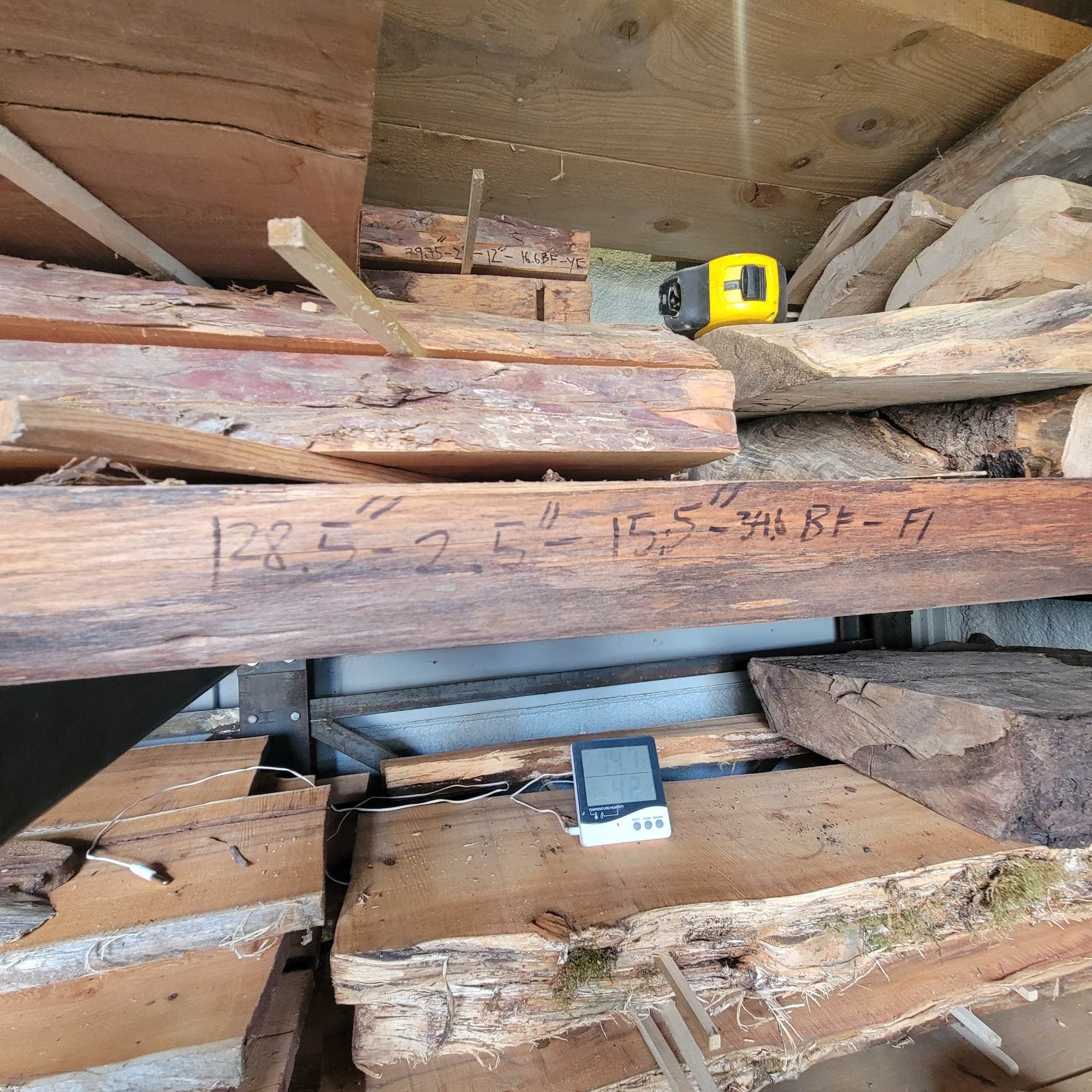 Douglas Fir